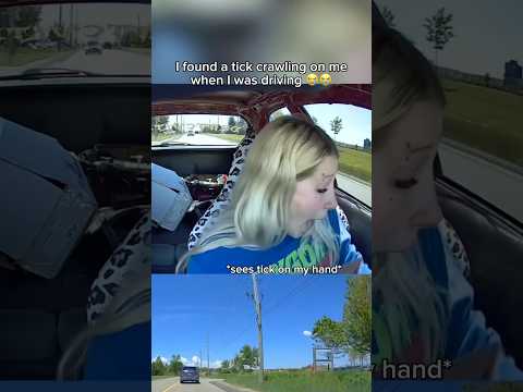 I found a tick crawling on my while I was driving… 😭🫣 #cars #dashcam #funny