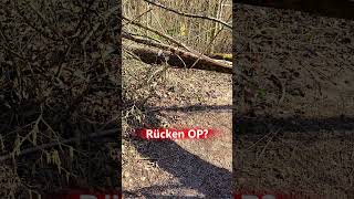 Eingeschränkt mit Behinderung. Der Wald muss behindertengerecht ausgebaut werden 😀 Spaziergang Hund