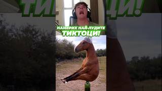 Анди РЕАГИРА на НАЙ-СТРАННИТЕ ТикТоци EVER 😵‍💫🫪 #andyplayzgamez #apg