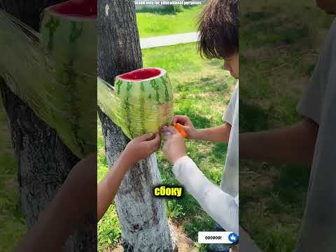 Челлендж с арбузом и миксером! 🍉🛠️