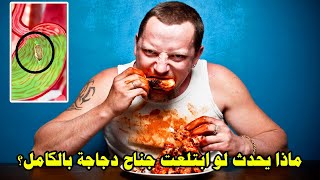 ماذا يحدث لو ابتلعت جناح دجاجة بالكامل؟