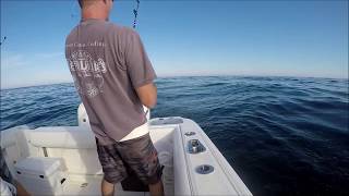 SEA TIGER FISHING SPRING 2017 YELLOWFINS AND DAYTIME SWORDFISHING