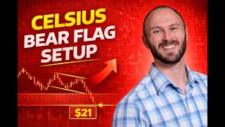 Celsius Bear Flag Setup
