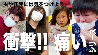 人の不幸で笑うなw 蜂に刺された!? 今度はムカデ!? 色々ケガしてきたココロマン家シリーズ  #作業用　#ココロマンちゃんねる