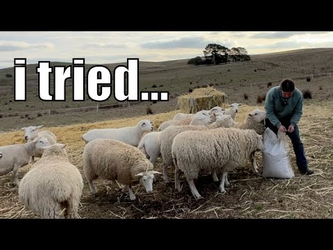 I Held Off as Long as I Could…