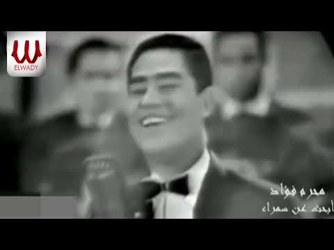 محرم فؤاد - أبحث عن سمراء - حفلة / Moharam Fouad -  Ab7ath 3n Samraa