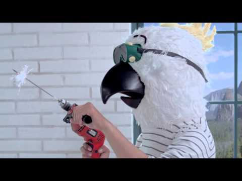 Nestlé Indonesia Video: Iklan KITKAT #miniBREAKvideo 3 "Kakatua : Mentok Pasti Berlalu"