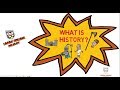 Understanding the Video Tutorial