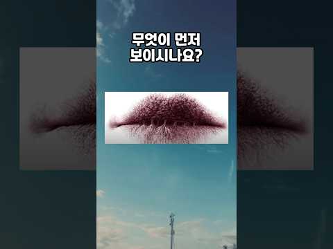 mbti보다 정확한 나의 성향 테스트