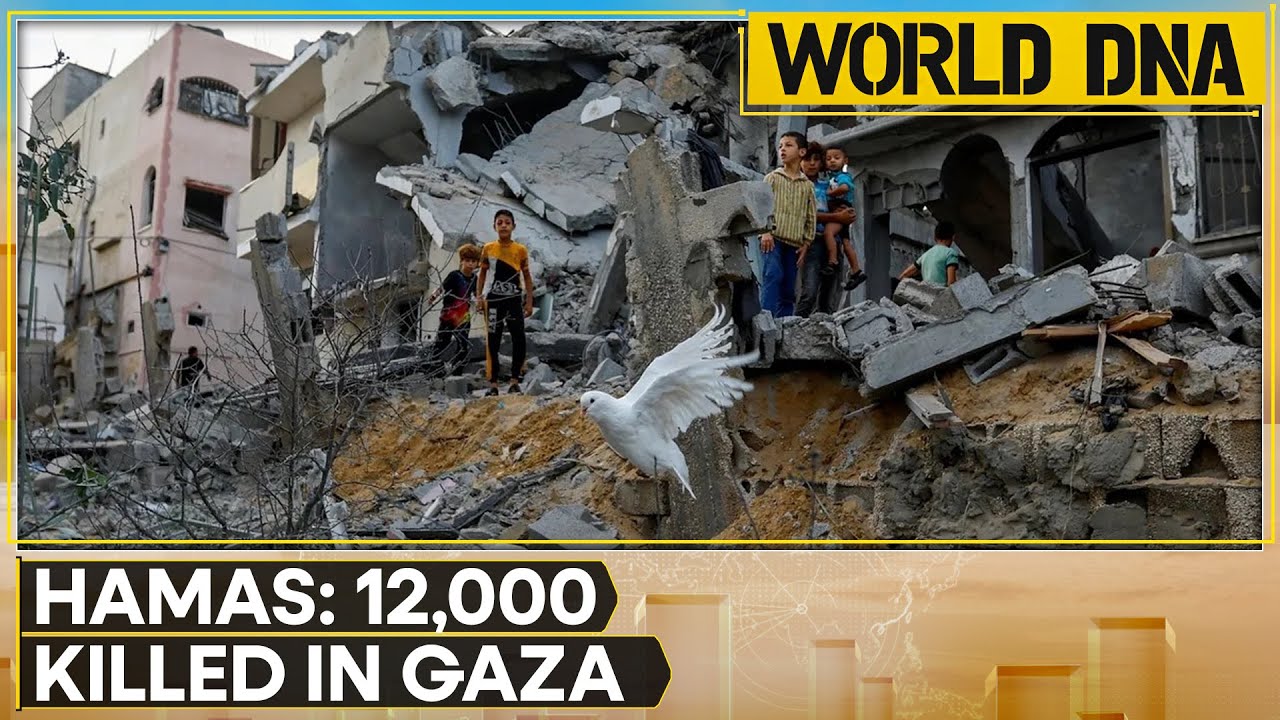 Israel-Palestine war | Hamas: 2,76,000 housing units destroyed in Gaza by IDF strikes | World DNA