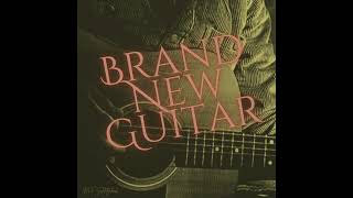 Brand New Guitar
