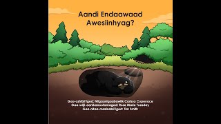 Read With Me: Aandi Endaawaad Awesiinhyag?