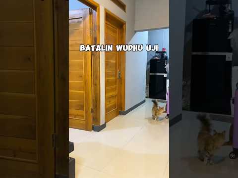 Ngakak parah “wow ayang gatel, tp nanti ya aku mau sholat dulu” wkwkwk #ujiadun #pasutri