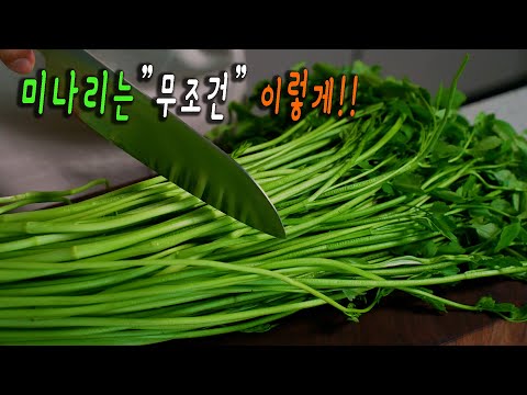 미나리는 이방법이 최고입니다.   👍 먹어본 사람들은 누구나 인정하는 미나리 요리 3가지~ 강쉪