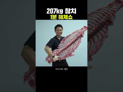 1분만에 보는 참치 해체