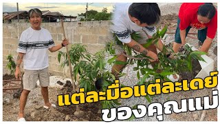 ตามไปดูแม่ปลูกต้นไม้🥰