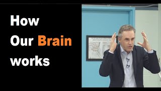 Jordan Peterson - How our Brain works