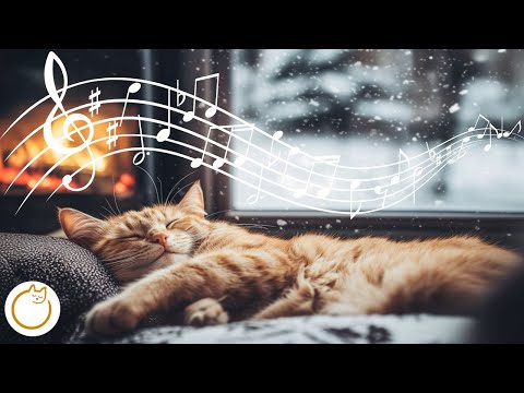 ASMR Relaxation for Cats - Instantly Soothing Sound Therapy to Heal Cats 🐱❤️