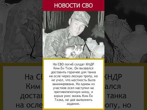 Ким Ён Тхэк погиб на СВО доставляя топливо на осле  #сво #россия #новости #актуально #война #помощь