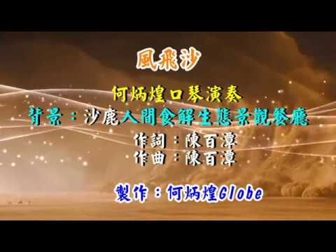 風飛沙~附KTV歌詞~何炳煌口琴演奏