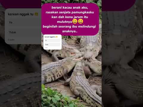 beginilah sang ibu melindungi anaknya 🥰🥰