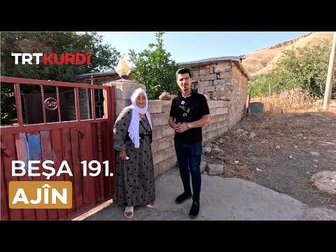 Ajîn - Beşa 191.