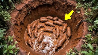 Momentos na Natureza Que Acontecem uma Vez em um Bilhão