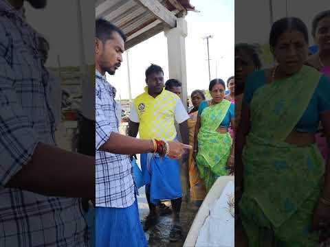ECR நண்பன் மீனு ஏலம் கடை🐳🐠🦀🐬🦀🦈 #rivercrab #seafood #fishing #crabgrass #fish #food #seafoods #tamil