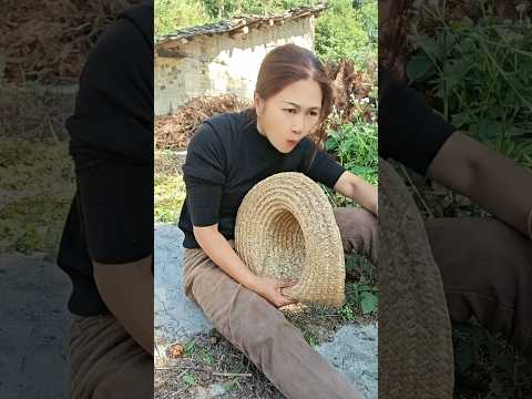 masteran burung viral kocak bikin ngakak hiburan warga +62 fuunyvideos