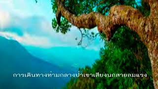 ฟังเสียงของการเดินทางท่ามกลางขุนเขา เสียงน้ำตกและสายลมพัดแรงเสียงจั๊กจั่นกรี๊ดเสียงร้องยามค่ำคืน