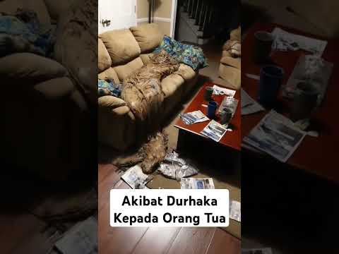 Anak Durhaka Dikutuk Viral Dan Trending #shorts