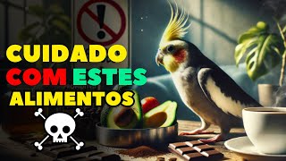 PROTEJA sua Calopsita dos Alimentos TOXICOS que a Podem Matar