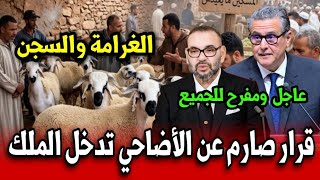 قرار صارم عن الاضاحي الحكومة تتدخل بعجالة الغرامة والسجن أخبار المغرب اليوم