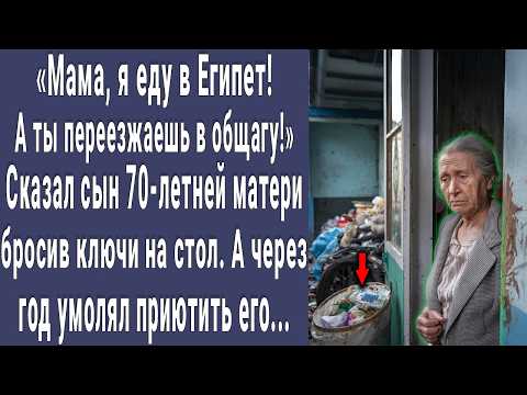 Мама, ты в общагу переезжаешь! сказал Виктор 70-летней матери бросив ключи на стол. А через месяц...