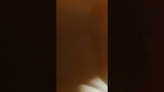 How did i do? #shortvideo #funny #trending #viral #funny