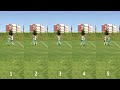 Video Tutorial Quiz