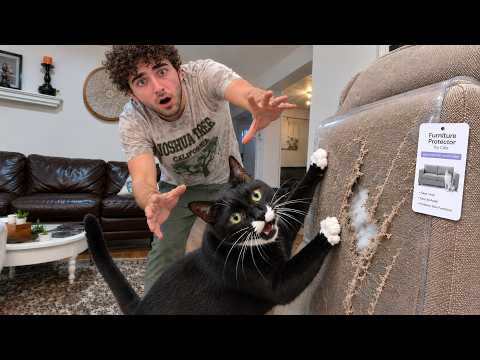 I Bought Every Scam Cat Product
