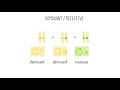 Understanding Heredity and Genetics