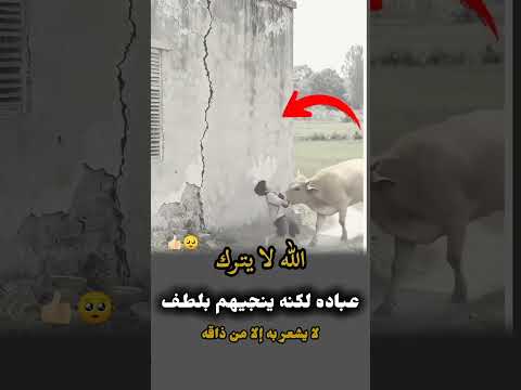 الله لا يترك عباده لكنه ينجيهم بلطف لا يشعر به إلا من ذاقه 🥺👍🏻❤