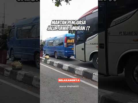 Sopir Elf Ini Disegani Di Jawa Timuran ‼️ #sugengrahayu #short #busmania