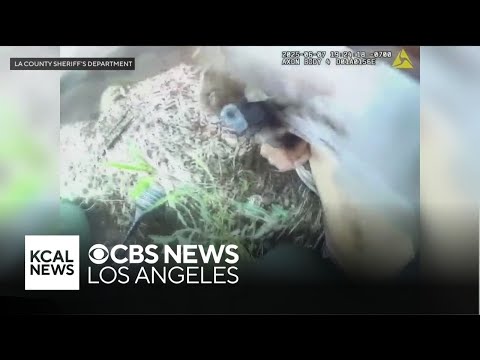 Body camera shows suspect pull out handgun during struggle with LA County deputy