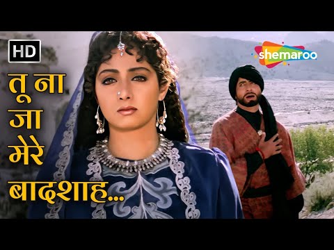 Tu Na Jaa Mere Baadshah | Khuda Gawah(1992) | Amitabh Bachchan, Sridevi  | Mohd. Aziz Songs