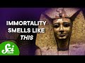 Ancient Egyptian Mummification and Perfumes