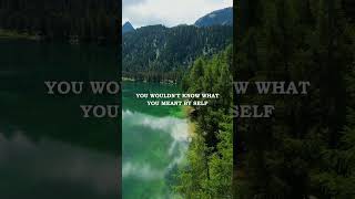 Alan Watts: No Self Without the Other