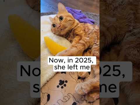 Goodbye, Ginger 💔