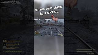 He was chased by a chicken?!?!