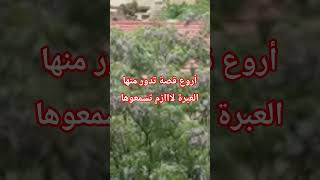 #قصص أروع قصة حقيقية عن الثقة الغيرة السحر السلايف