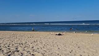 Sandy Hook beach in New Jersey. ⛱️