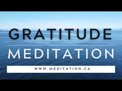 Gratitude Meditation for Beginners | Cultivate Positivity & Inner Peace in 10 Minutes