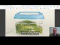 Carbon Dioxide Emissions Experiment